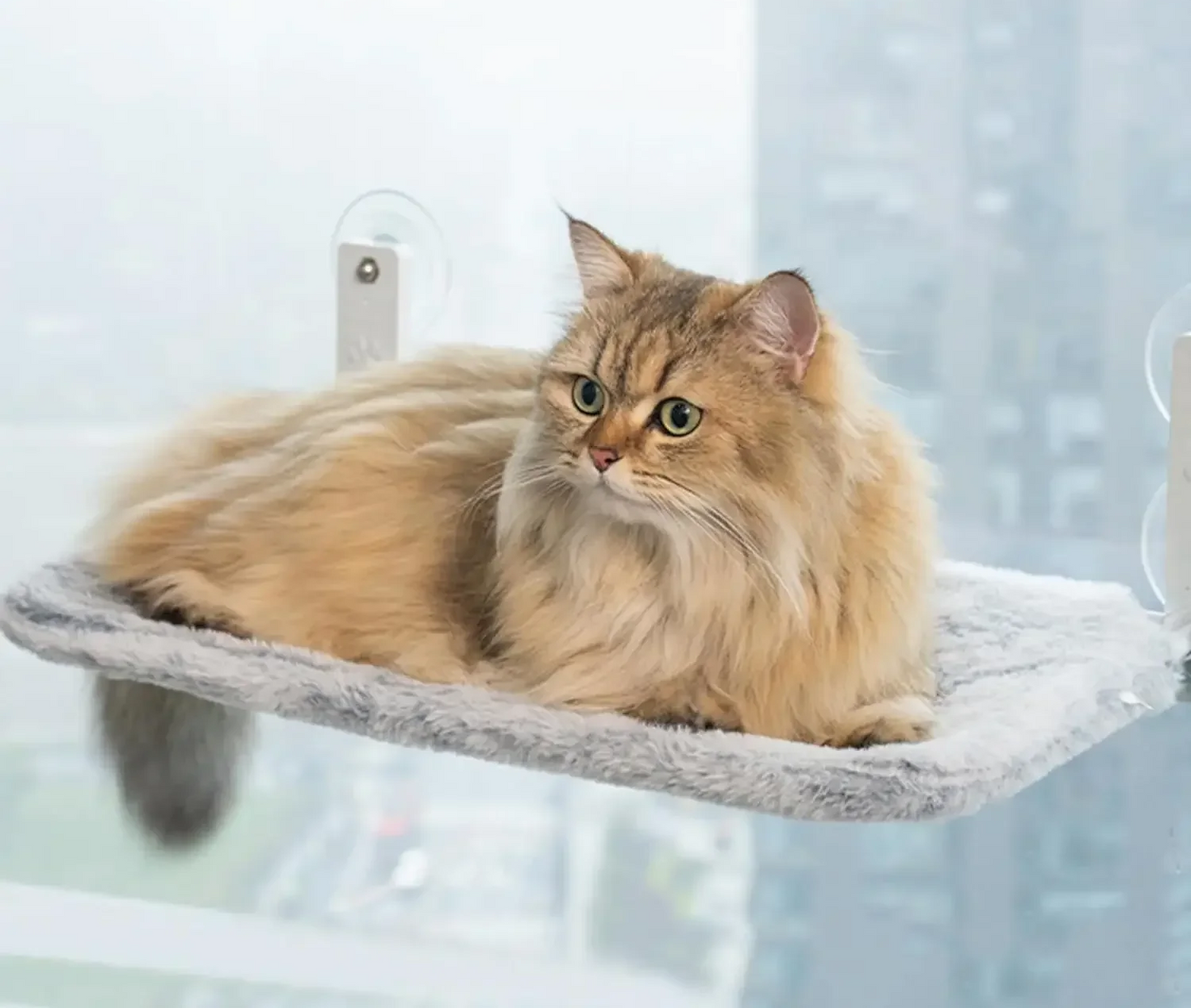 Cordless Luxury Favourite Cat Hammock